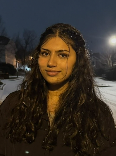 Lavanya Arzare